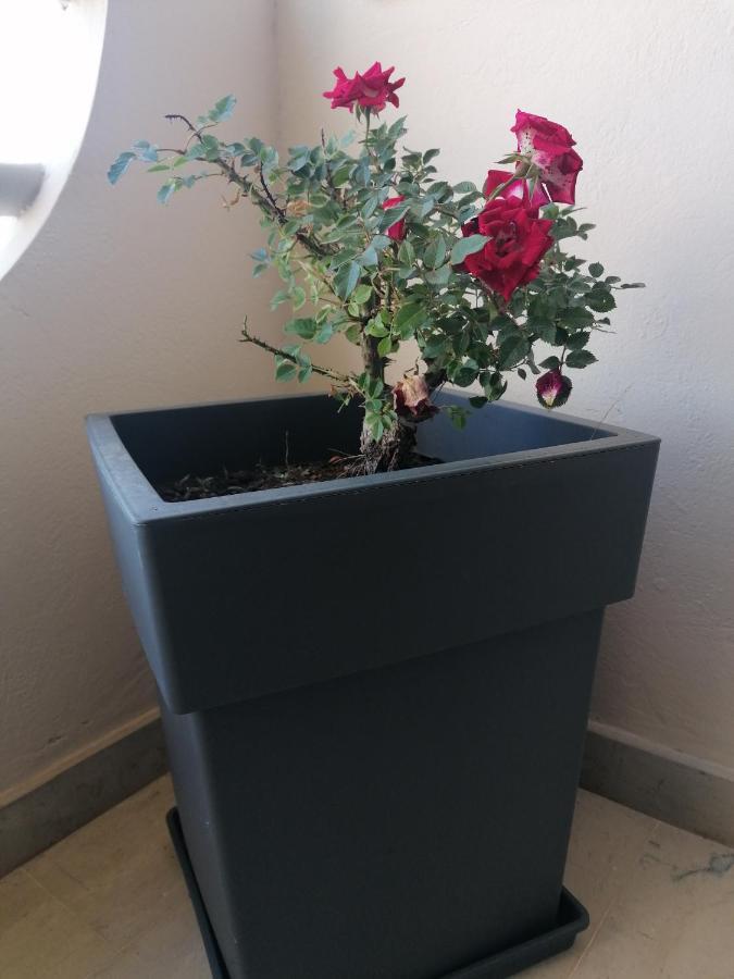 ארילס Makis Apartments מראה חיצוני תמונה