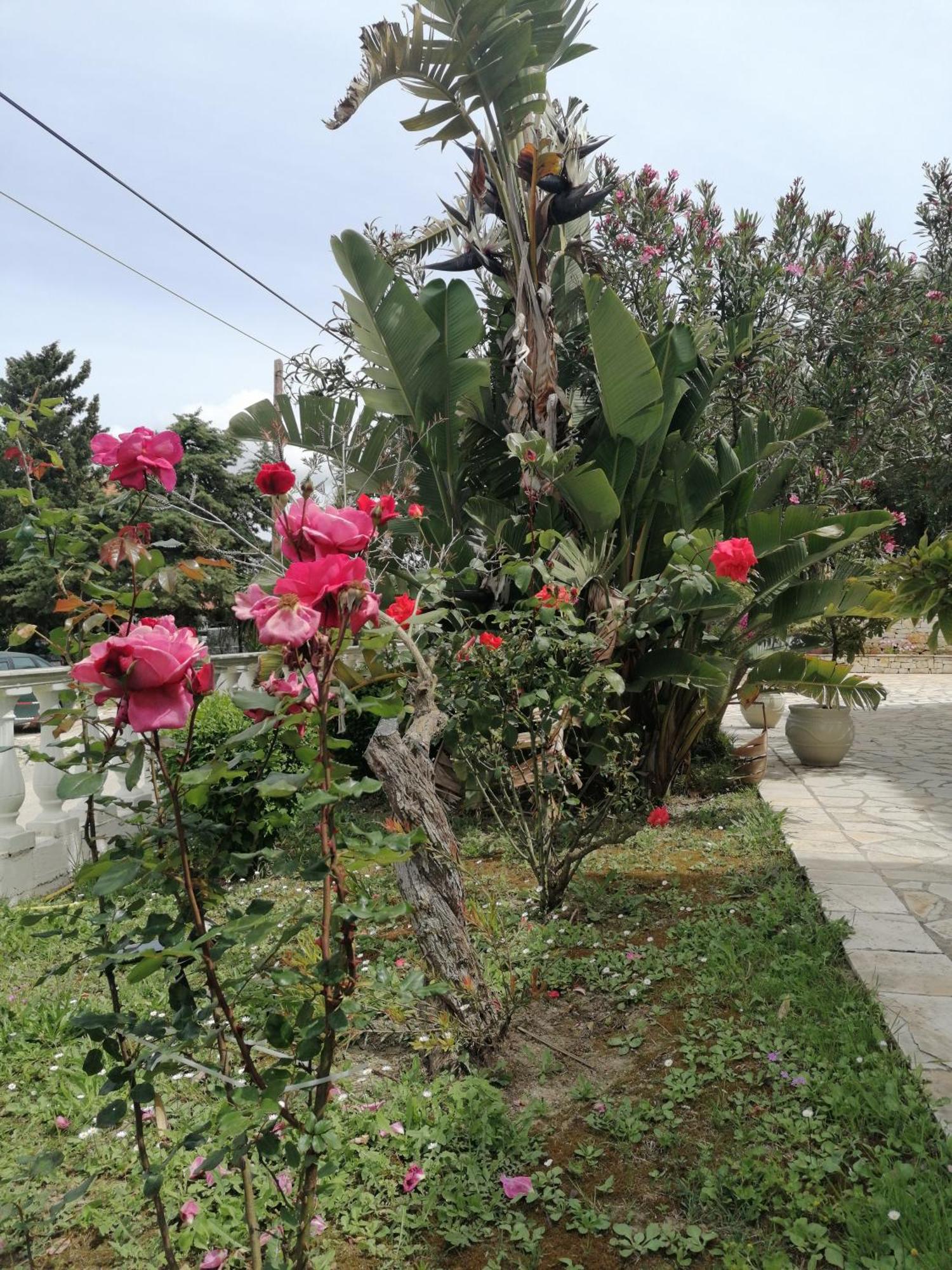 ארילס Makis Apartments מראה חיצוני תמונה
