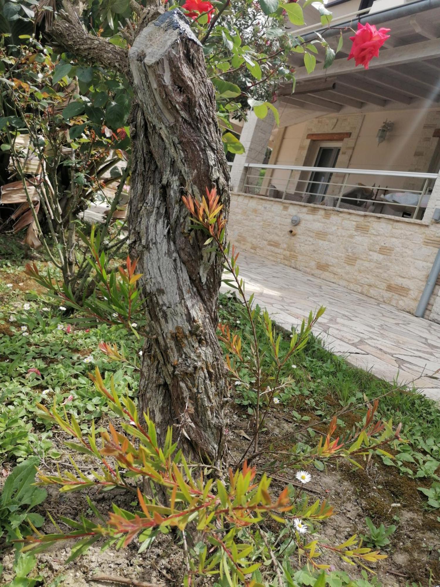 ארילס Makis Apartments מראה חיצוני תמונה